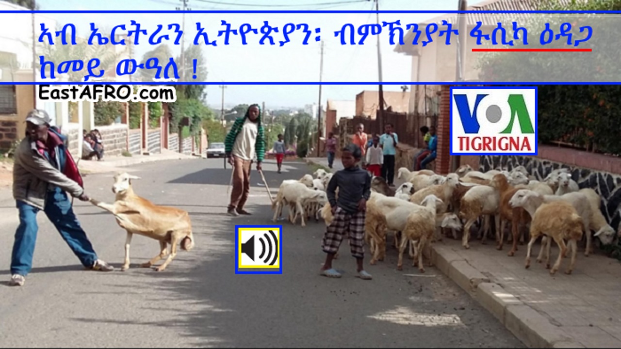 Eritrean Orthodox Calendar 2016 Calendar Template 2019