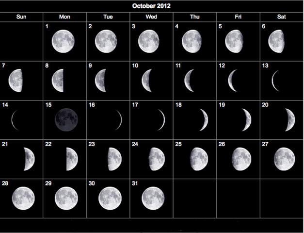 Moon Phase Deer Movement Calendar
