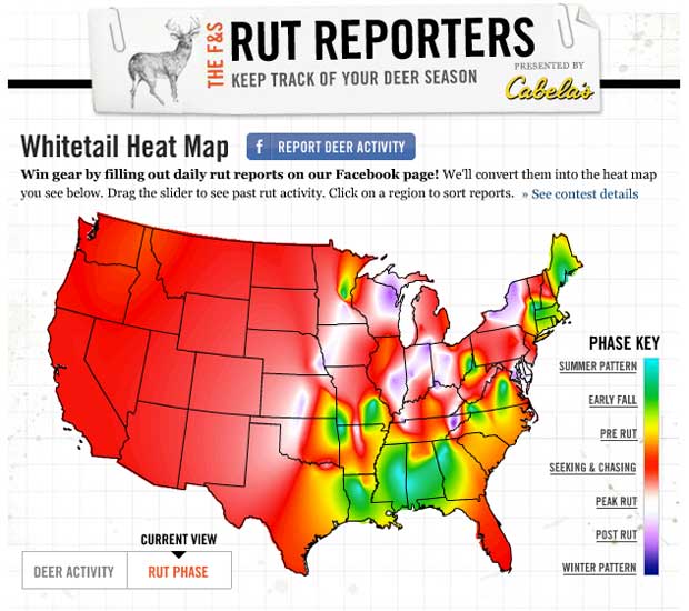 Whitetail Deer Movement Chart