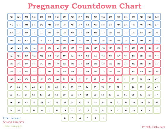 Printable Pregnancy Countdown Chart