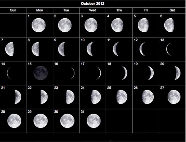 Whitetail Deer Movement Chart 2018