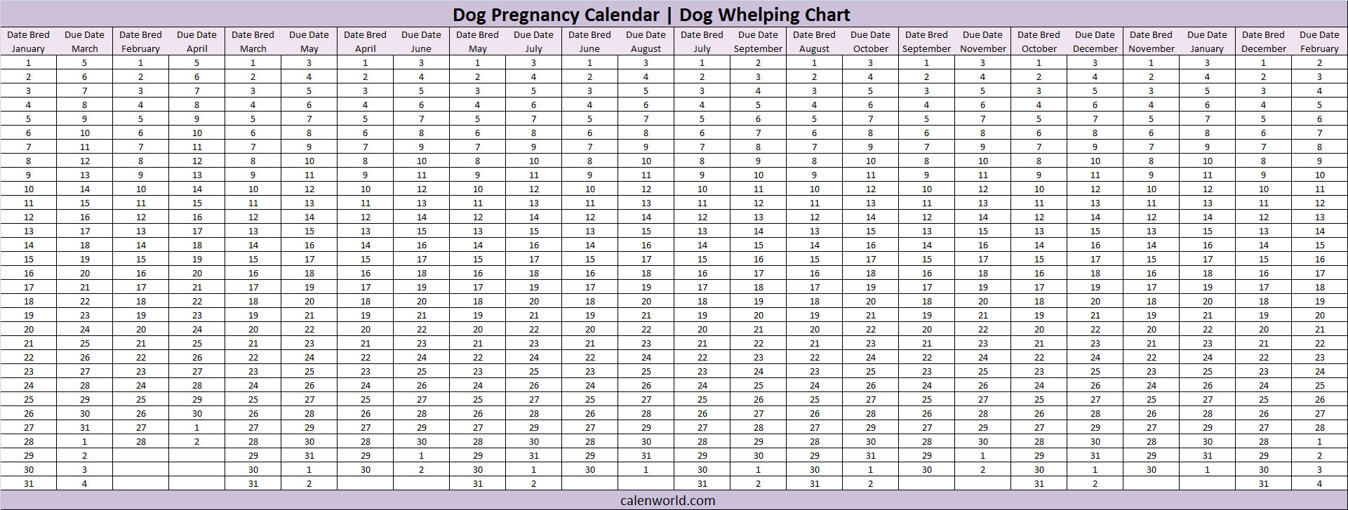 Dog Pregnancy Calendar | Dog Due Date Calendar