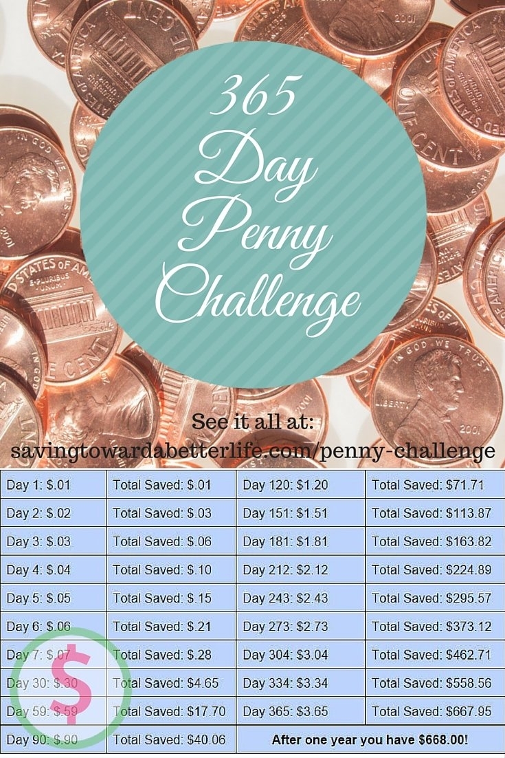 365 Day Penny Saving Challenge | $668 After One Year