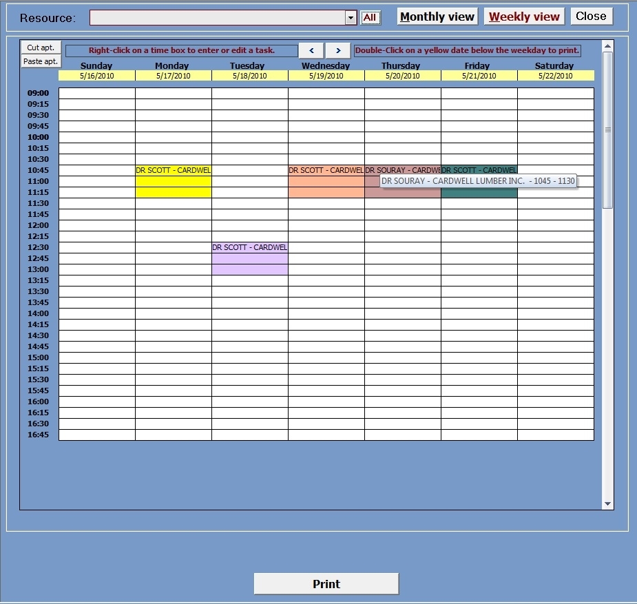 Appointment Planner|Ms Access Templates