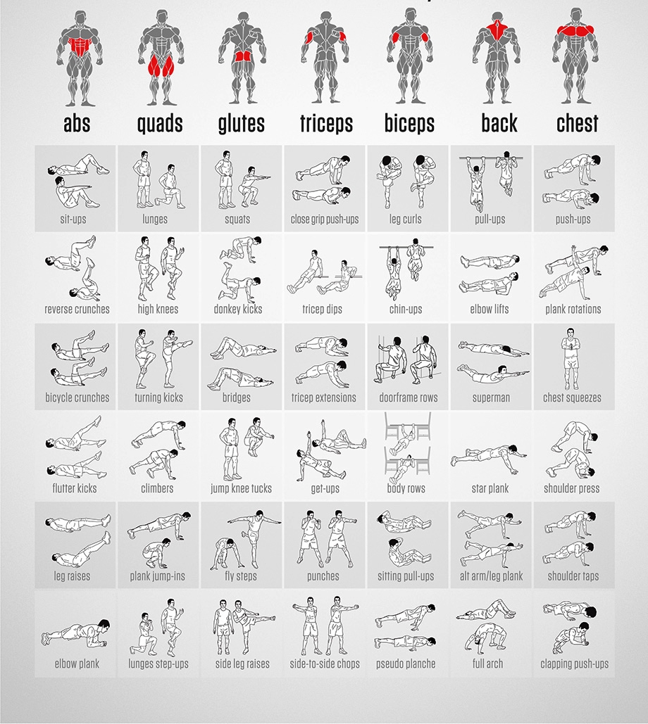 Bodyweight Exercises Chart | Body Workout Plan, Full Body