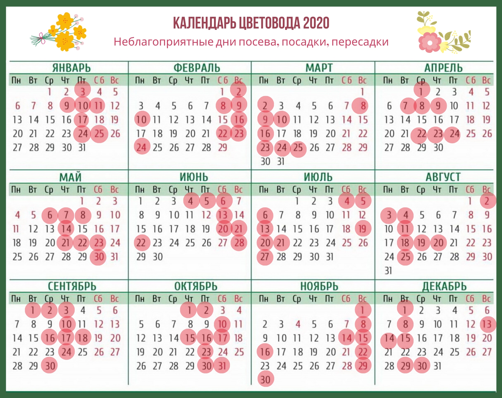 Календарь Цветовода На Каждый Месяц 2020 Года (Лунный) | Дача