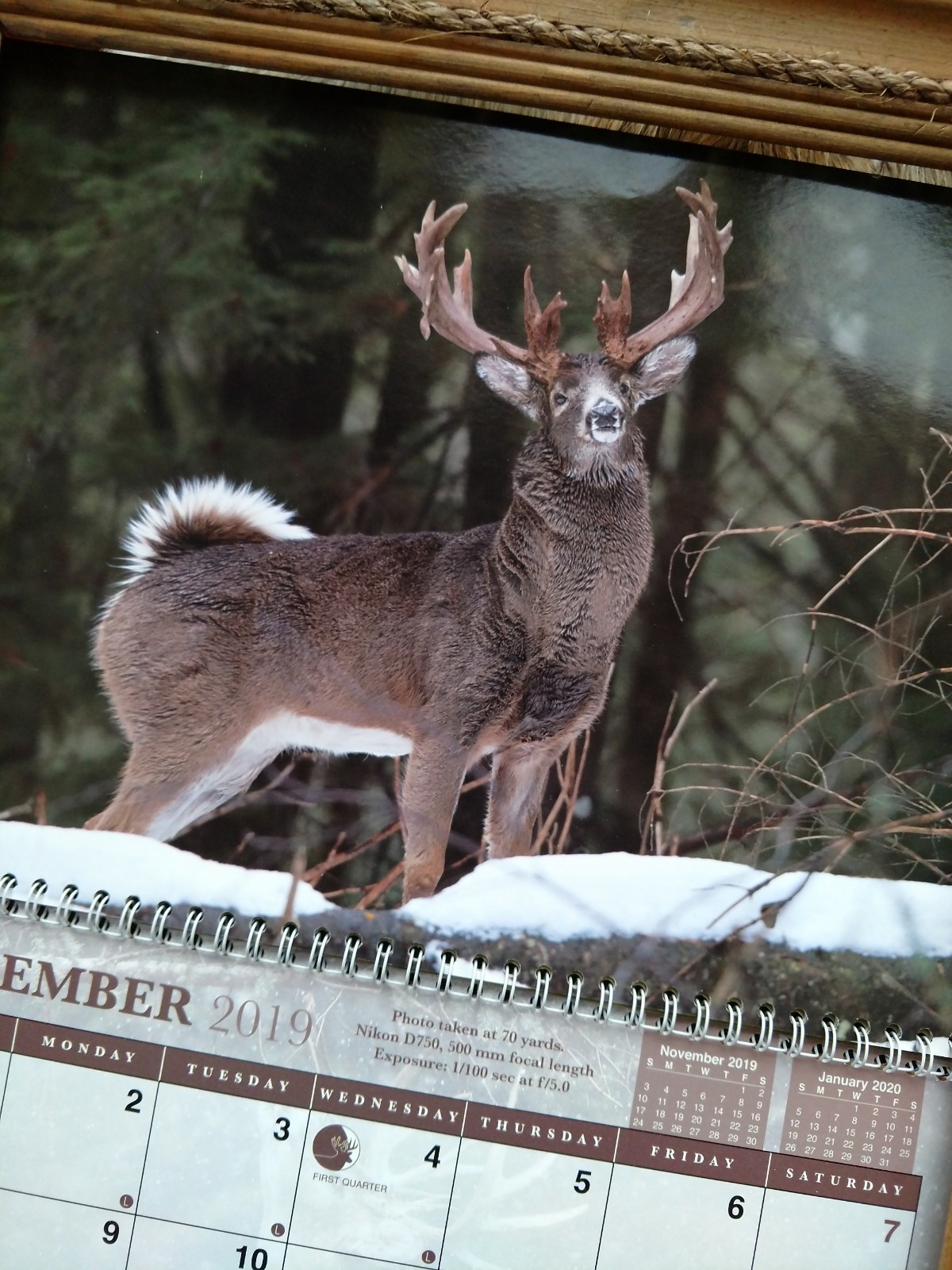 Deer Calendar - Billkinney %