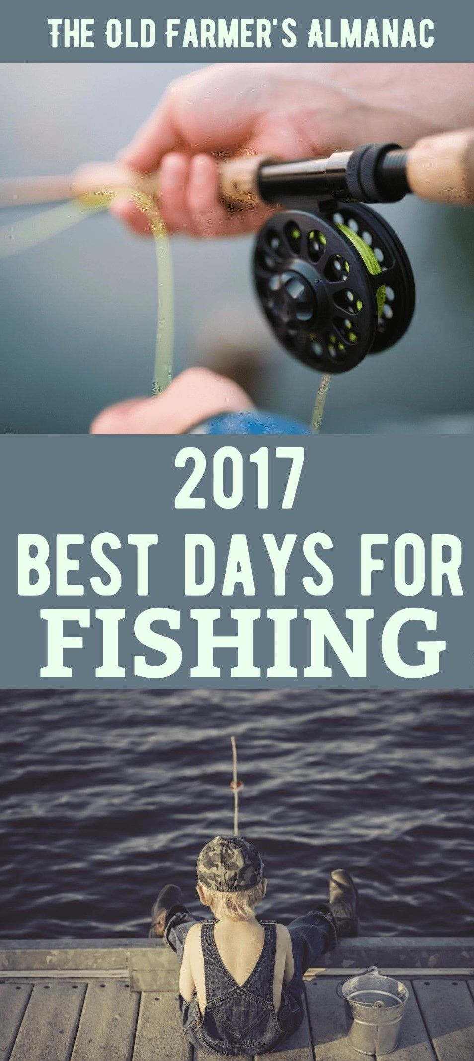 Fishing Calendar For 2020 (With Images) | Fishing Tips, Best