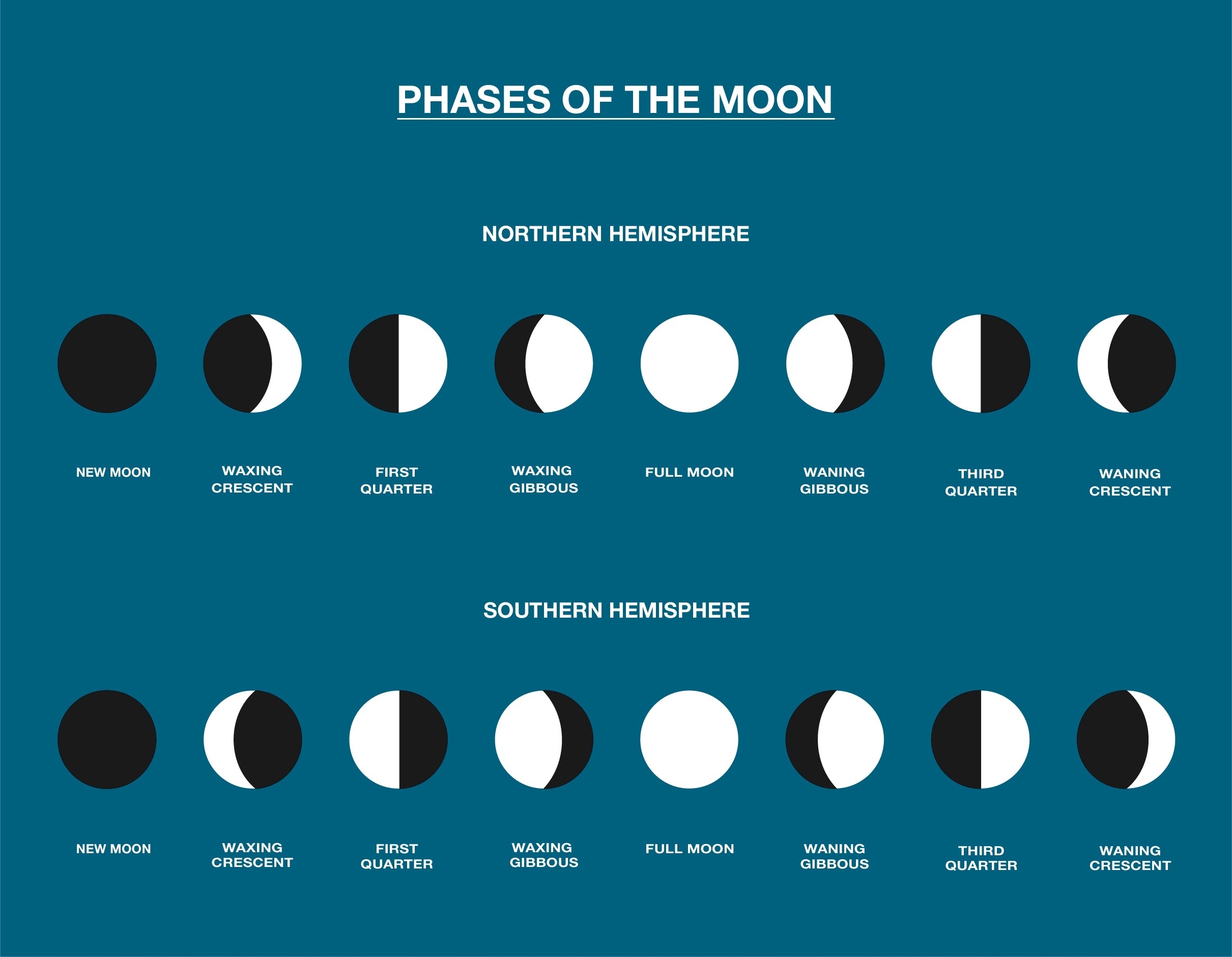 Homework Helper: Phases Of The Moon - The Beaker Life