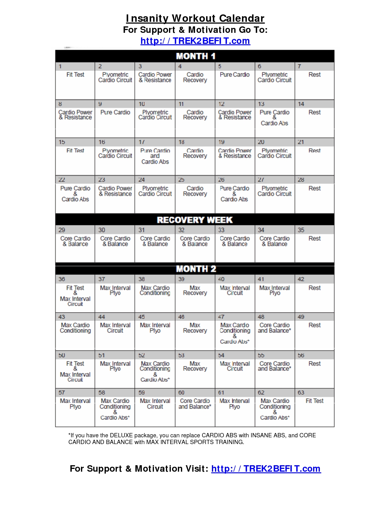  Insanity Workout Calendar Free Pdf for Women