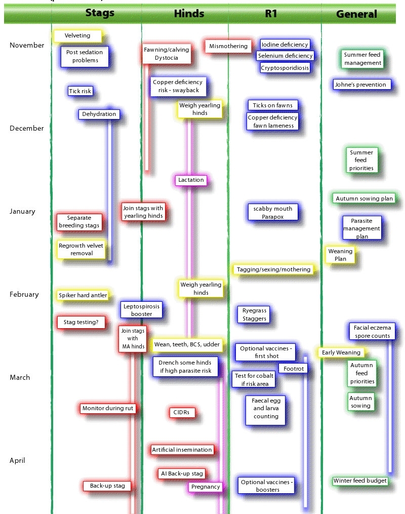 Management Calendar | Deer Industry New Zealand