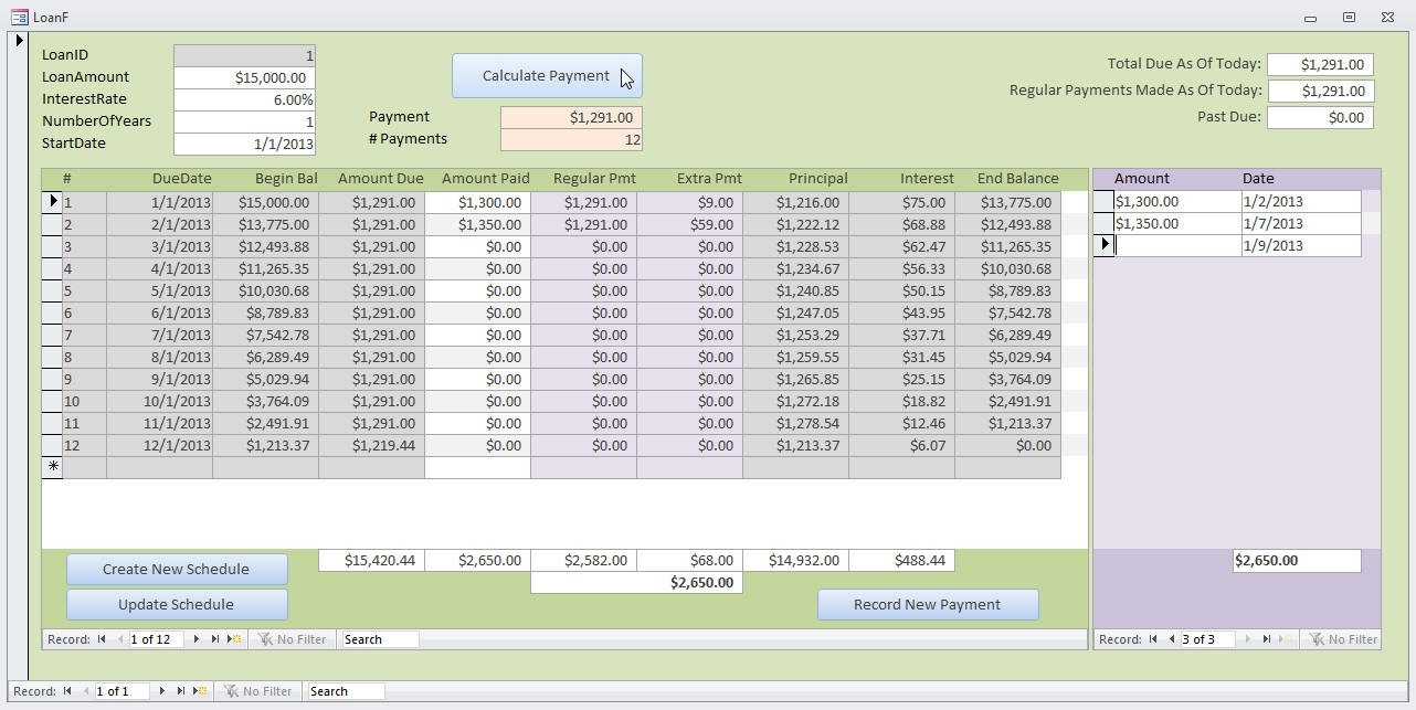 Microsoft Access Loan Amortization Template