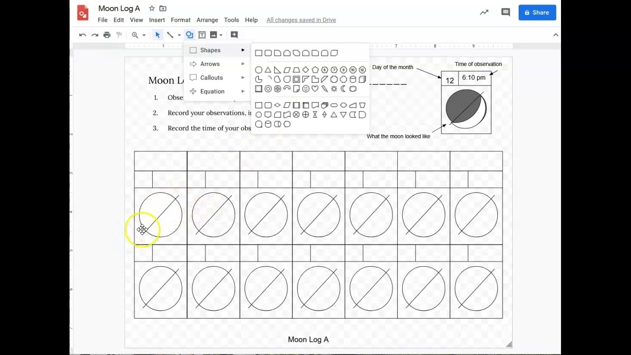 Moon Log Directions And Samples