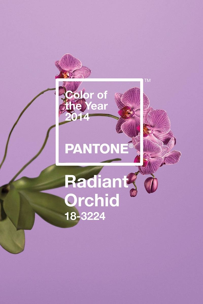 Pantone Color Of The Year 2014 Radiant Orchid | Carrie Loves