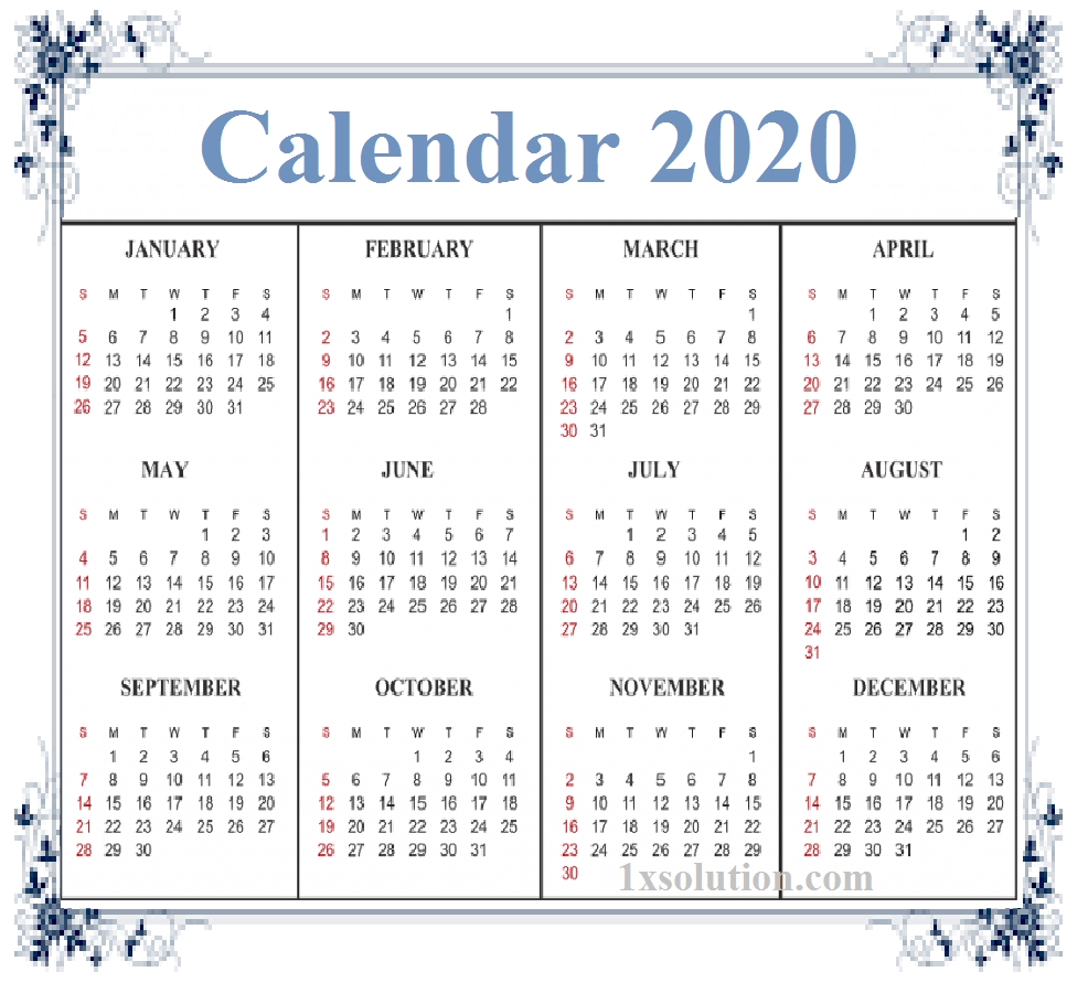 2020 Daily Calendar- To Write Your Important Notes | | Calendar