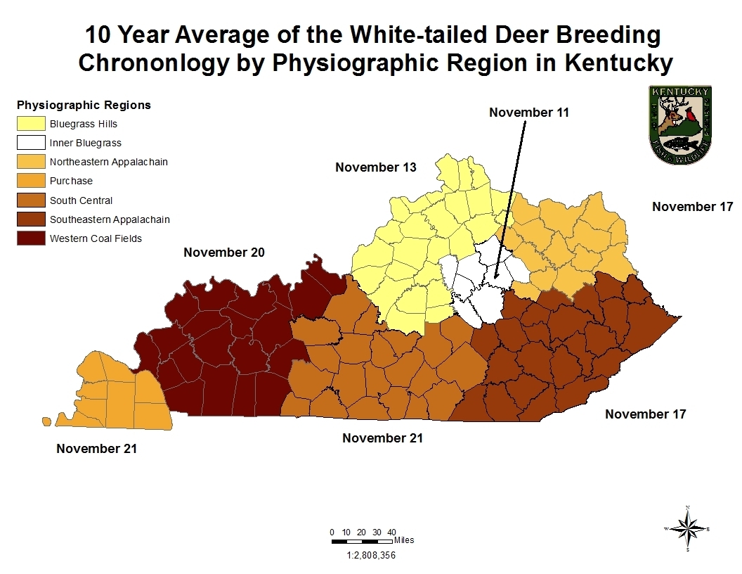 Art Lander&#039;S Outdoors: White-Tailed Deer Rut Full Of Emotion