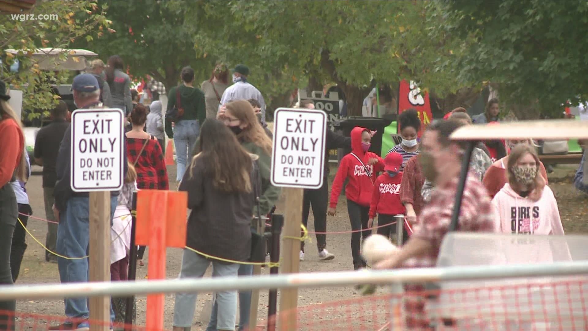 Covid Violations At The Great Pumpkin Farm