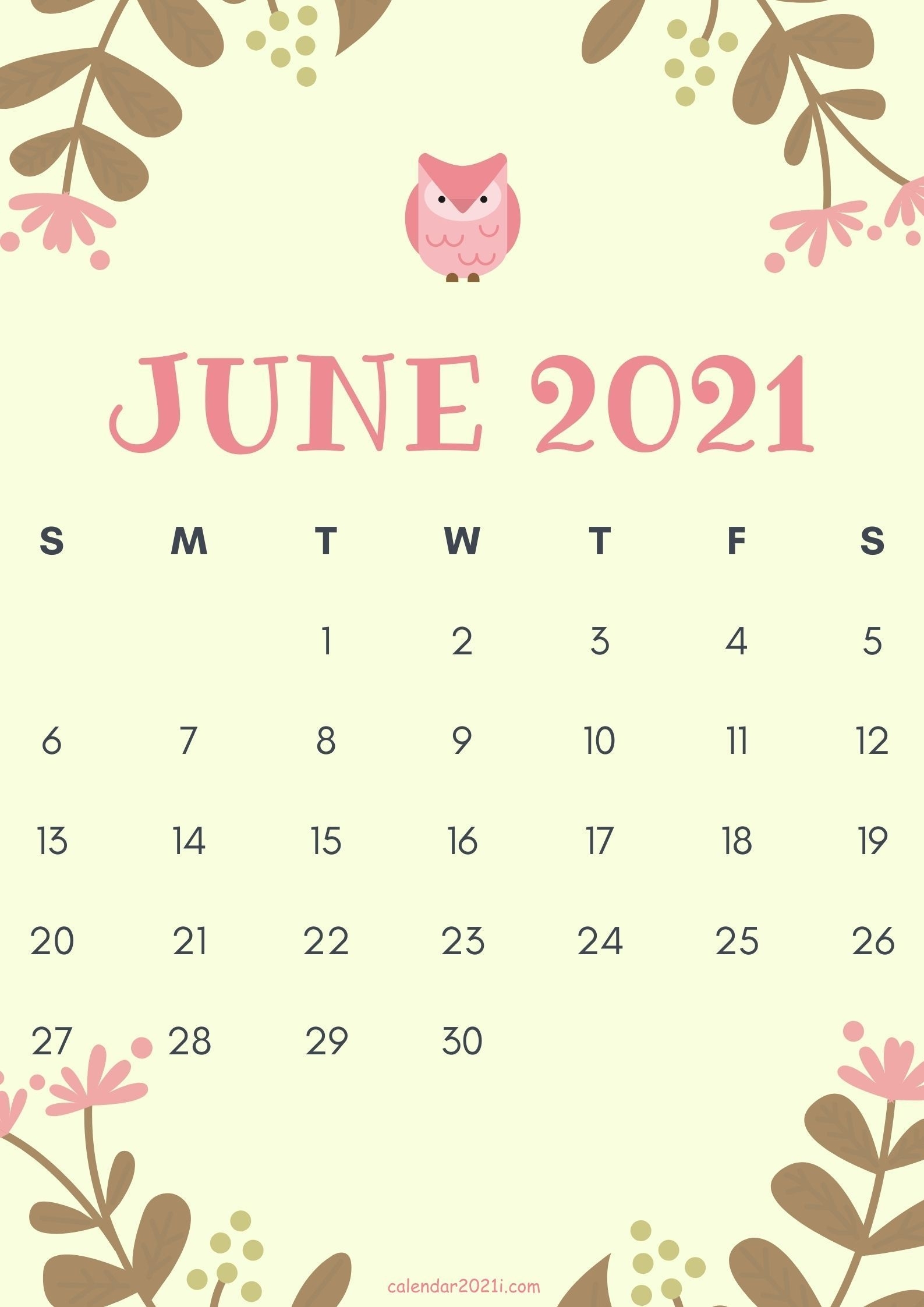 Cute June 2021 Calendar Design Theme Layout Free Download In