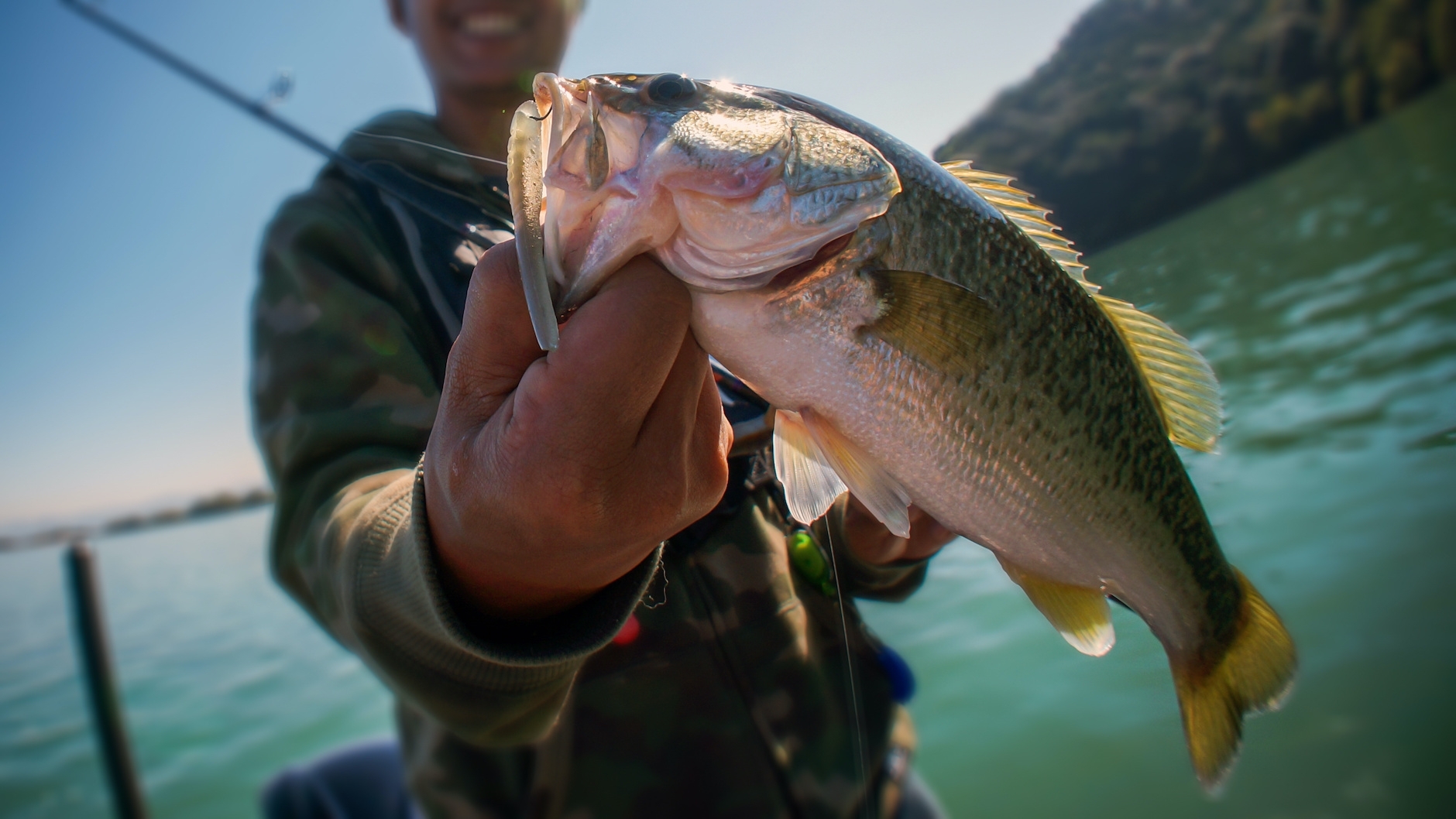 Fishing Lures: Why Picking The Right Color Matters - Farmers