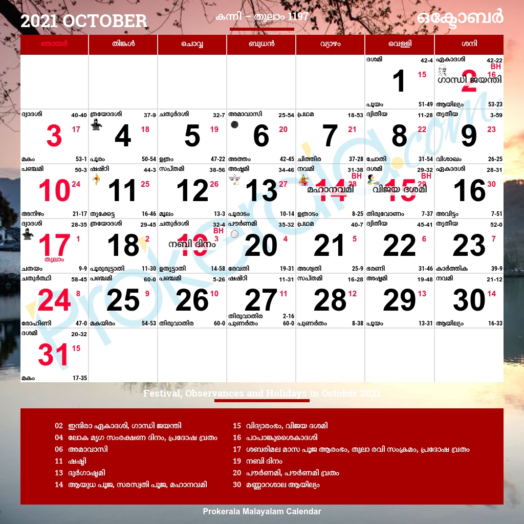 Malayalam Calendar 2021 | Malayalam Calendar, Daily Calendar