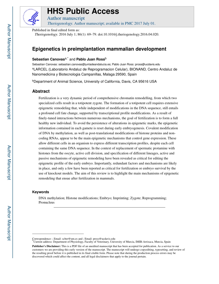 Pdf) Epigenetics In Preimplantation Mammalian Development