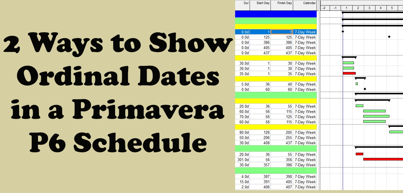 Show Calendar Days Instead Of Dates In Primavera P6 Schedule