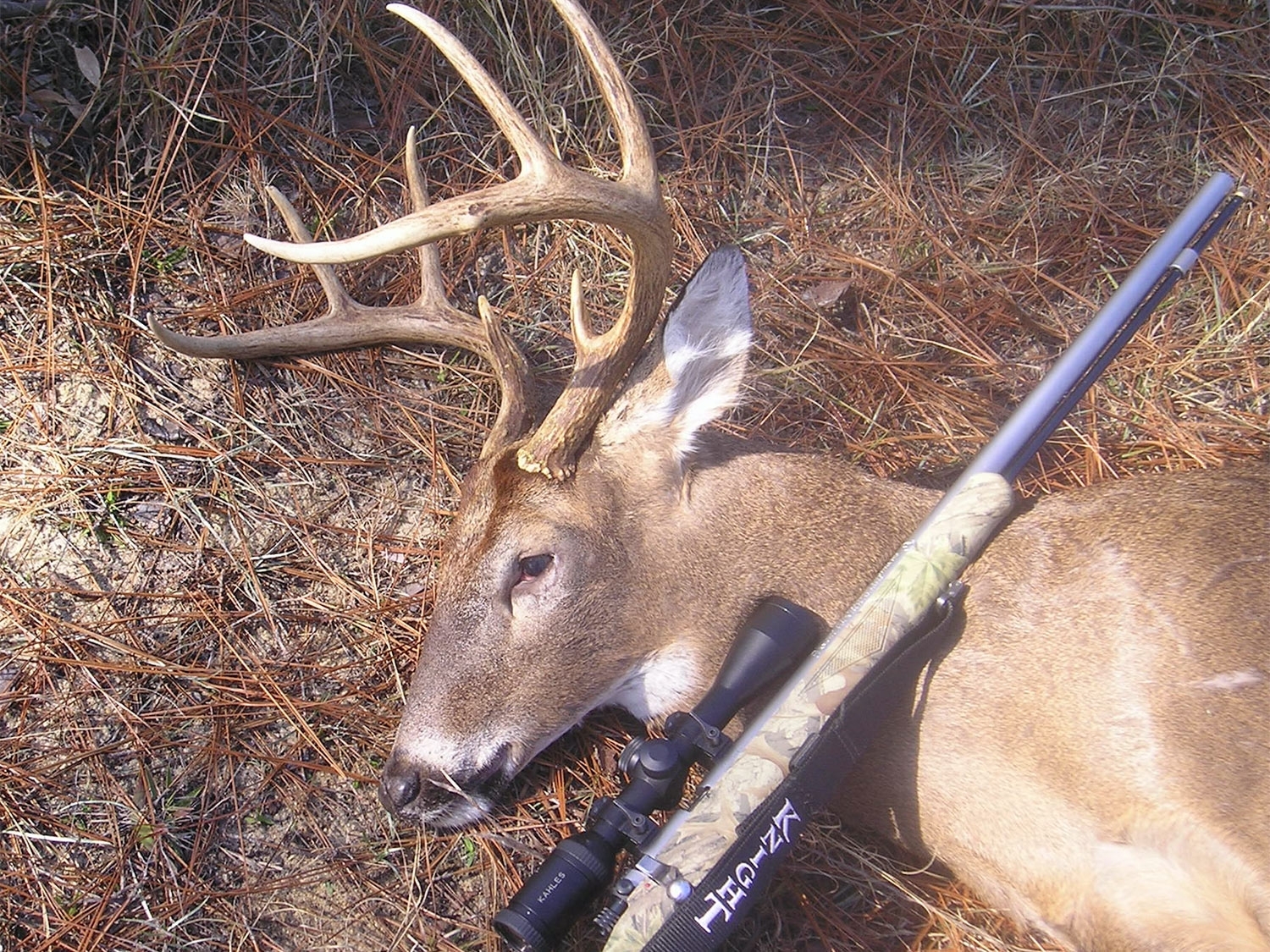 The 2020 Deer Hunting Season Forecast | Outdoor Life