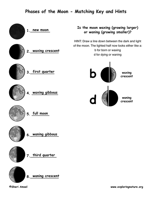 15 Best Images Of Science Stars Worksheets - Drawing