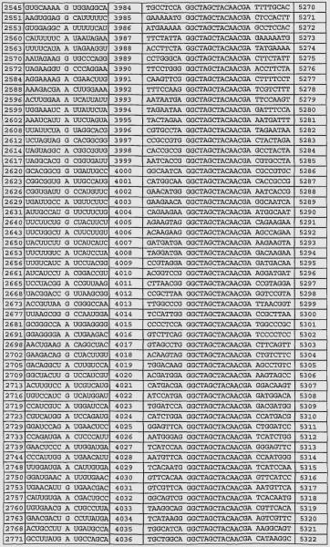 Depo-Provera Perpetual Calendar Pdf | Printable Calendar