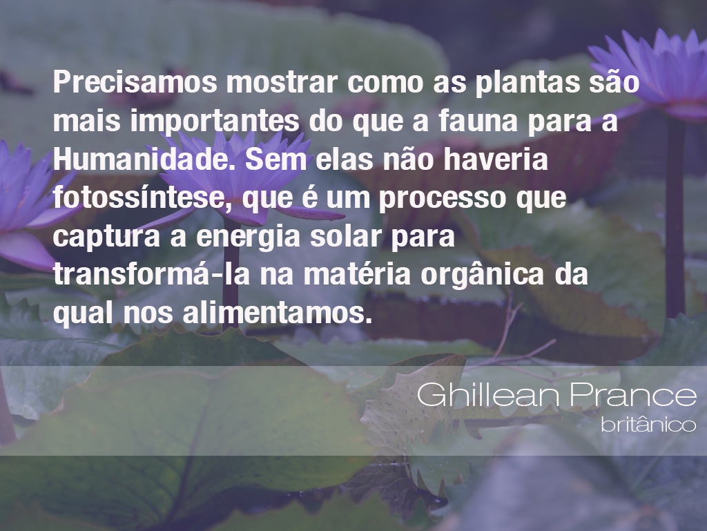 Frases Do Meio Ambiente - Ghillean Prance, Botânico (15/02