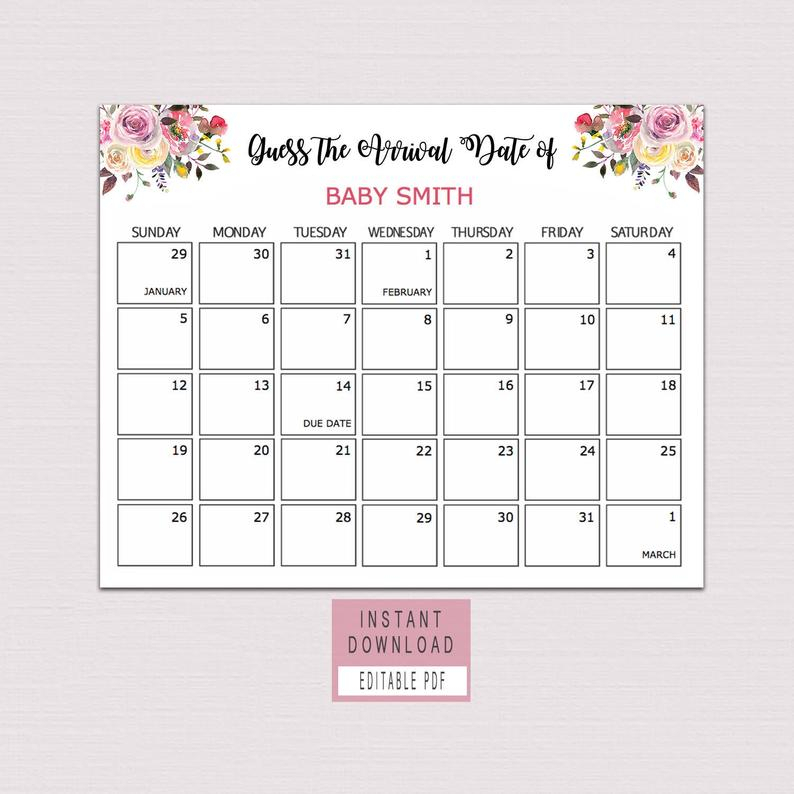 Guess Baby Birthday Calendar Guess The Due Date Game