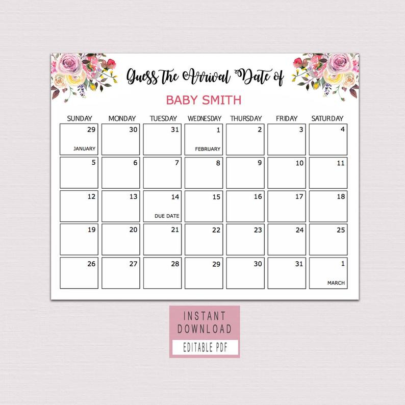 Guess Baby Birthday Calendar Guess The Due Date Game