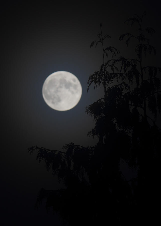 Hunters Moon Photograph By Randy Hall