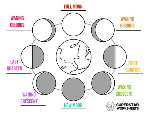 Moon Phases Worksheet In 2020 | Moon Phases, Science