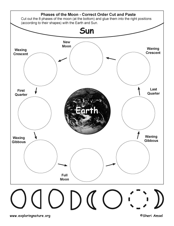 Phases Of The Moon - Order, Cut, Paste