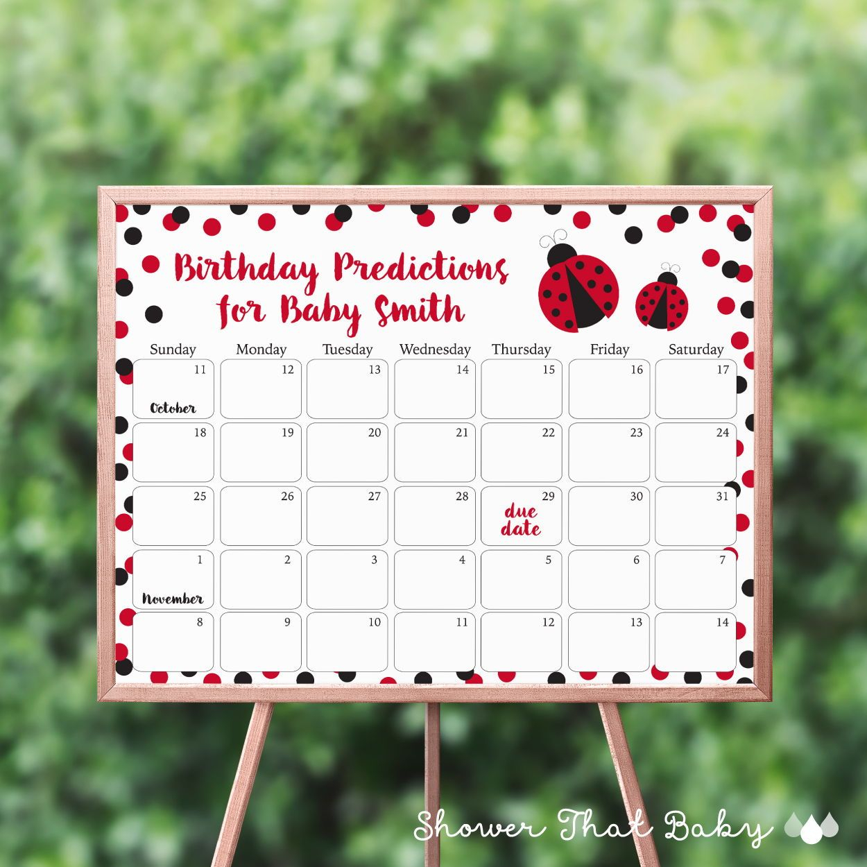 Ladybug Theme Baby Shower Birthday Predictions Calendar