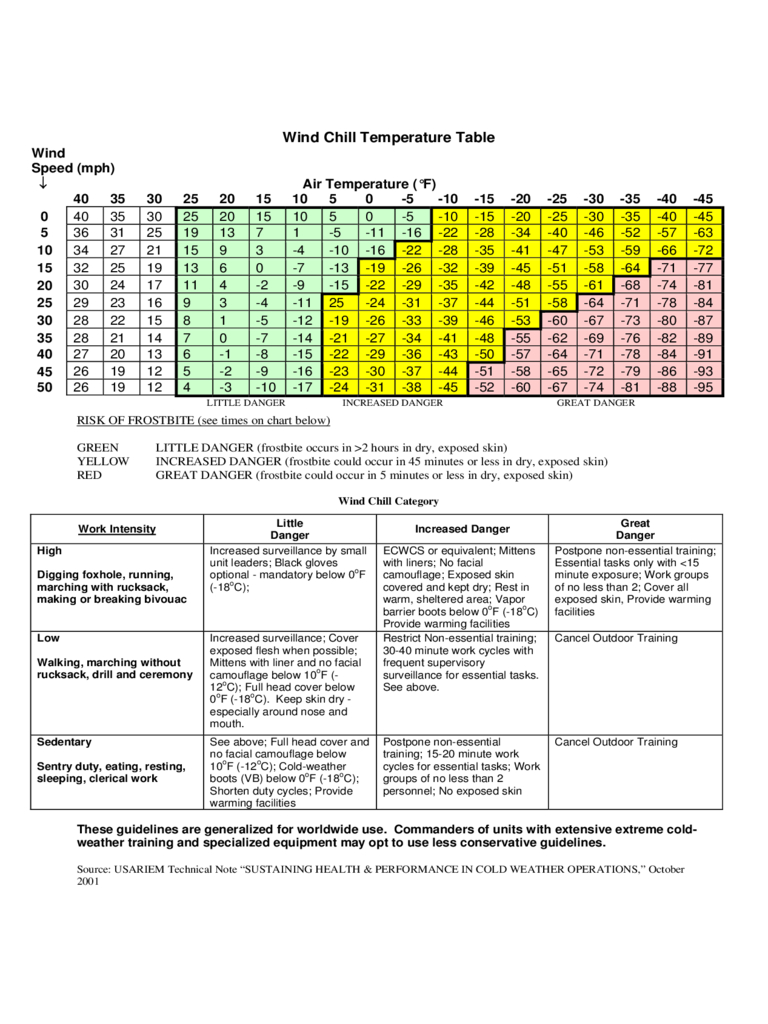 2021 Wind Chill Chart - Fillable, Printable Pdf &amp; Forms