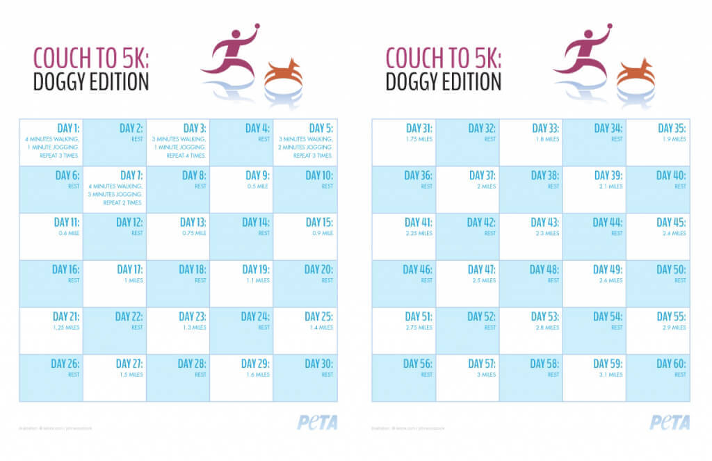 Couch To 5K: Doggy Edition | Peta